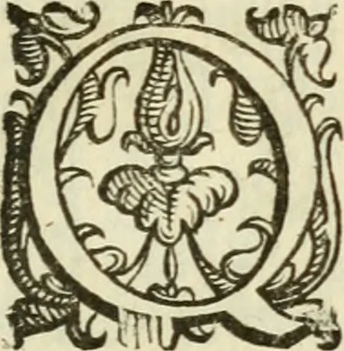 An illustration from De' ragguagli di Parnaso .., 1612, leaf 924