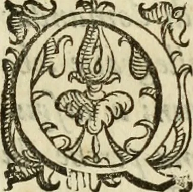 An illustration from De' ragguagli di Parnaso .., 1612, leaf 958