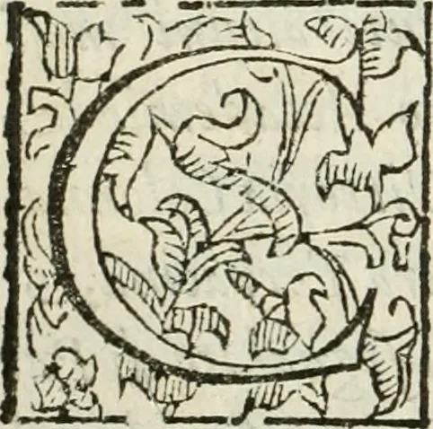 An illustration from De' ragguagli di Parnaso .., 1612, leaf 97