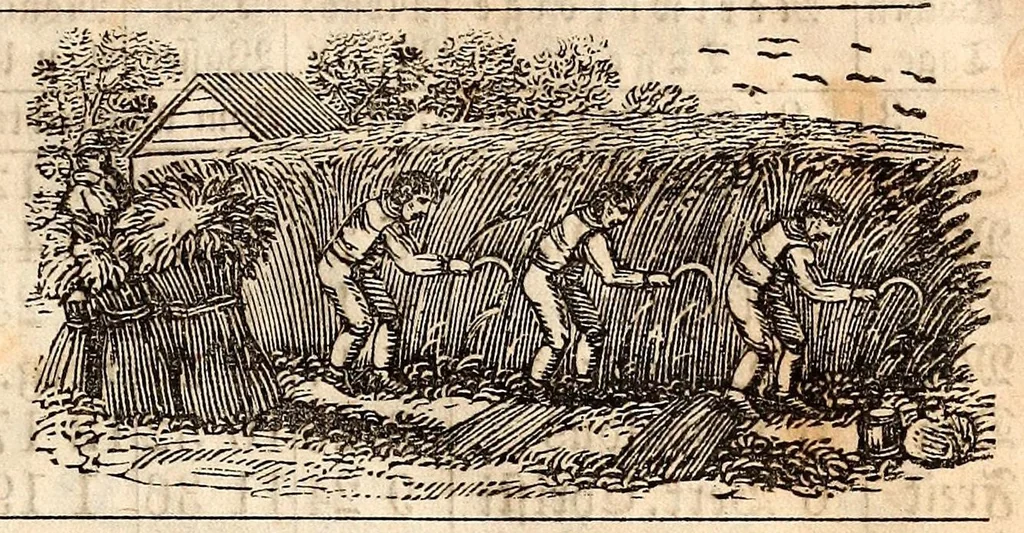 An illustration from Der alte Germantown-Kalender auf das Jahr 1858 : ... für den Pennsylvanischen Horizont und die angrenzenden Staaten berechnet, 1857, leaf 19