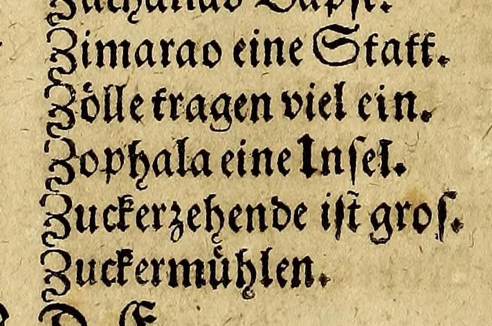 An illustration from Der americanischen Neuen Welt Beschreibung, : darinnen deren Erfindung, Lager, Natur, Eigenschaft, Sitten, Barbarey, und unerhörte Grausamkeit der Einwohner, Thier, Vögel, Fischen und anderer; beneben einer wunderbaren Schifffart und Reisebeschreibung nach Brasilien Hans von Staden, bürtig aus Homburg in Hessen; was er vor selzame wunderbare Länder und wilde Leute gesehen; was er innerhalb acht Jahren ausgestanden, und wie der högste Gott ihn aus so vielfaltiger groser Gefahr errettet habe &c. Mit vielen nachdenklichen Fragen und nothwendigen Figuren ausgezieret und zusammen getragen, 1664, leaf 262