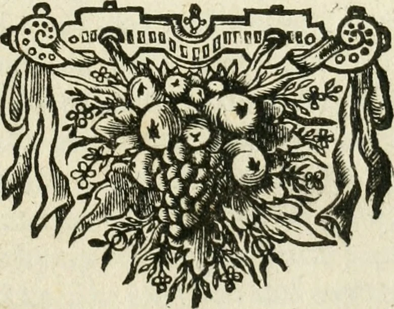 An illustration from De rampspoedige scheepvaart der Franschen naar Oostindien, onder 't beleit van de Heer Generaal Augustyn van Beaulieu, met drie schepen, uit Normandyen. Daar in hy vertoont, niet alleenlijk de rampen en tegenspoeden die hem in deze reis overgekomen zijn, en 't verlies van twee zijner schepen, in deze tocht verloren: maar ook veel aanmerkelijke beschrijvingen der plaatsen, daar hy geweest heeft, zijn handelingen met d'inwoonders, hun wetten, zeden en gewoonten, 1669, leaf 4