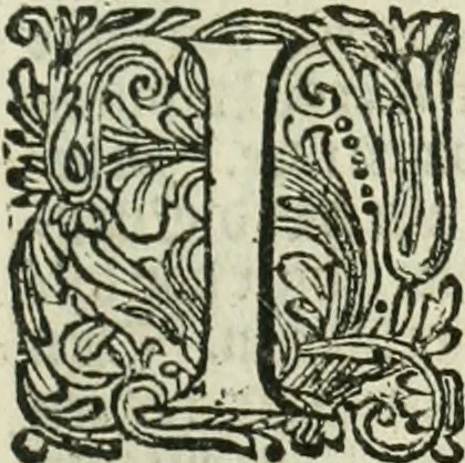 An illustration from De rampspoedige scheepvaart der Franschen naar Oostindien, onder 't beleit van de Heer Generaal Augustyn van Beaulieu, met drie schepen, uit Normandyen. Daar in hy vertoont, niet alleenlijk de rampen en tegenspoeden die hem in deze reis overgekomen zijn, en 't verlies van twee zijner schepen, in deze tocht verloren: maar ook veel aanmerkelijke beschrijvingen der plaatsen, daar hy geweest heeft, zijn handelingen met d'inwoonders, hun wetten, zeden en gewoonten, 1669, leaf 8