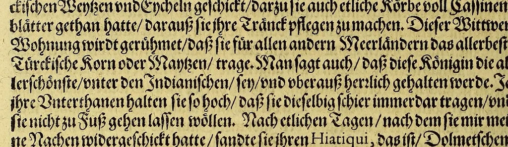 An illustration from Der ander Theil, der newlich erfundenen Landtschafft Americae, von dreyen Schiffahrten, so die Frantzosen in Floridam (die gegen Nidergang gelegen) gethan. : Eine vnter dem Hauptman[n] H. Laudonniere, Anno 1564. Die ander vnter H. Ribald 1565. Die dritte, vnter H. Guerguesio 1567. geschehen. Mit Beschreibung vnd lebendiger Contrafactur, dieser Provintze, Gestalt, Sitten vnd Gebräuch der Wilden,, 1603, leaf 40