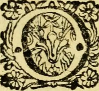 An illustration from De ranis et lacertis observationes, 1686, leaf 151