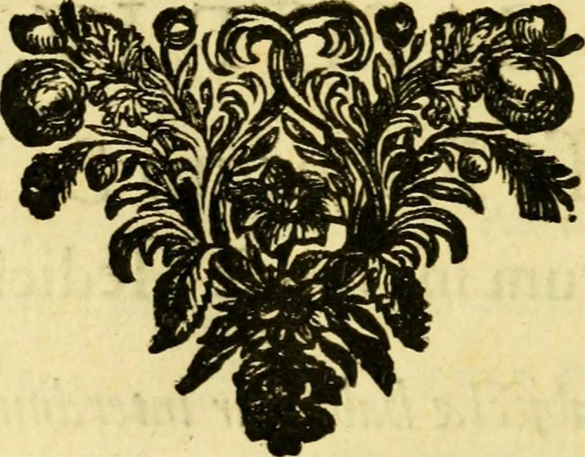 An illustration from De ranis et lacertis observationes, 1686, leaf 155