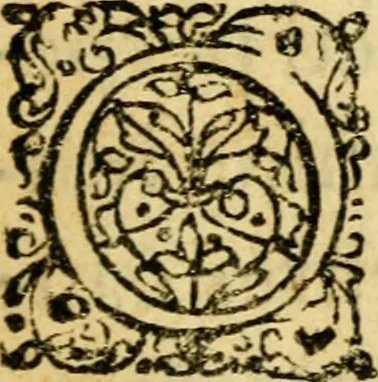 An illustration from De ranis et lacertis observationes, 1686, leaf 22