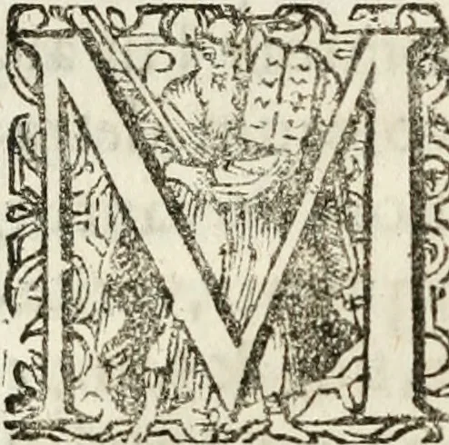 An illustration from De ratiociniis administratorum, et computationibus variis aliis, tractatus praegnantissimus. Omnibvs jvri operam dantibus ... utilis, judicibus et advocatis pernecessarius, 1646, leaf 11