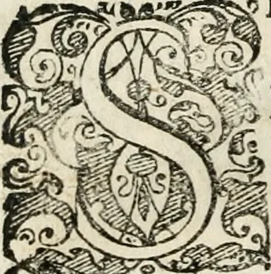 An illustration from De ratiociniis administratorum, et computationibus variis aliis, tractatus praegnantissimus. Omnibvs jvri operam dantibus ... utilis, judicibus et advocatis pernecessarius, 1646, leaf 13
