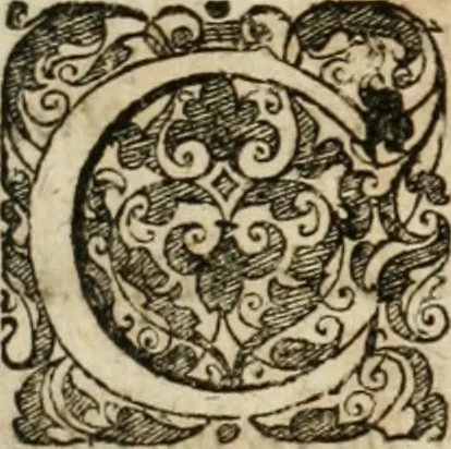 An illustration from De ratiociniis administratorum, et computationibus variis aliis, tractatus praegnantissimus. Omnibvs jvri operam dantibus ... utilis, judicibus et advocatis pernecessarius, 1646, leaf 14