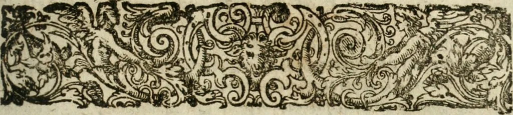 An illustration from De ratiociniis administratorum, et computationibus variis aliis, tractatus praegnantissimus. Omnibvs jvri operam dantibus ... utilis, judicibus et advocatis pernecessarius, 1646, leaf 558