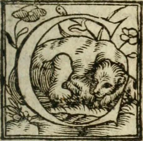 An illustration from De ratiociniis administratorum, et computationibus variis aliis, tractatus praegnantissimus. Omnibvs jvri operam dantibus ... utilis, judicibus et advocatis pernecessarius, 1646, leaf 558