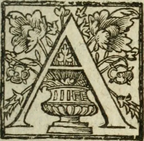An illustration from De ratiociniis administratorum, et computationibus variis aliis, tractatus praegnantissimus. Omnibvs jvri operam dantibus ... utilis, judicibus et advocatis pernecessarius, 1646, leaf 674