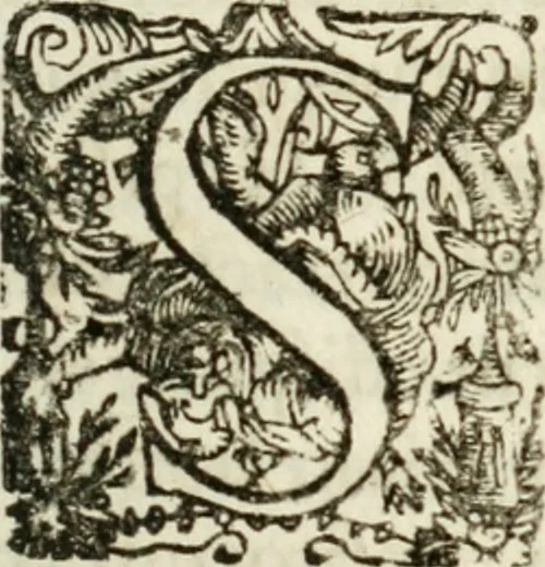 An illustration from De ratiociniis administratorum, et computationibus variis aliis, tractatus praegnantissimus. Omnibvs jvri operam dantibus ... utilis, judicibus et advocatis pernecessarius, 1646, leaf 8