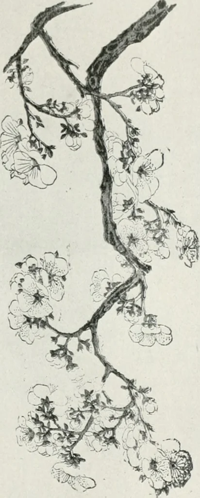 An illustration from Der chinesische farbendruck, 1922, leaf 100