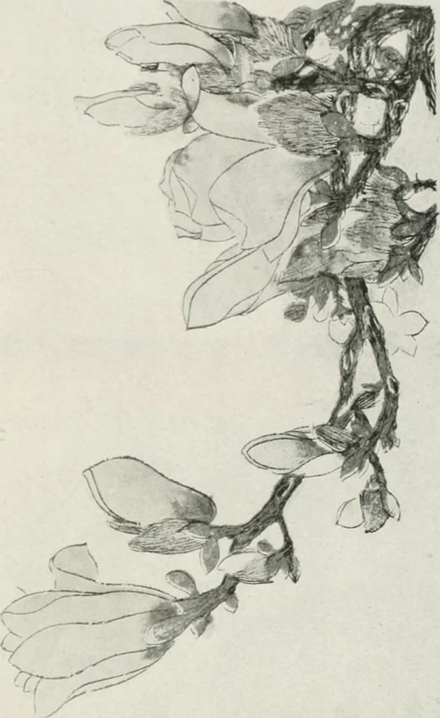 An illustration from Der chinesische farbendruck, 1922, leaf 110