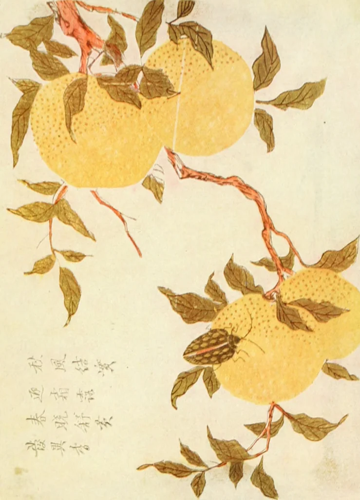 An illustration from Der chinesische farbendruck, 1922, leaf 162