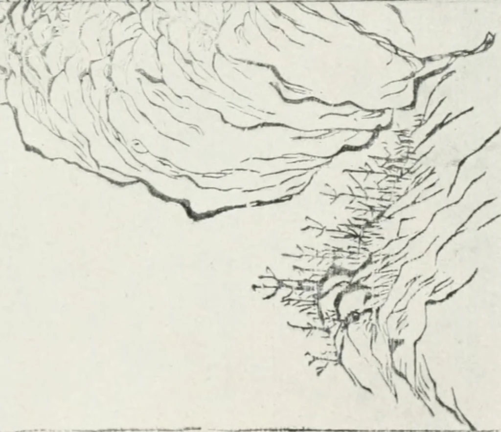 An illustration from Der chinesische farbendruck, 1922, leaf 42
