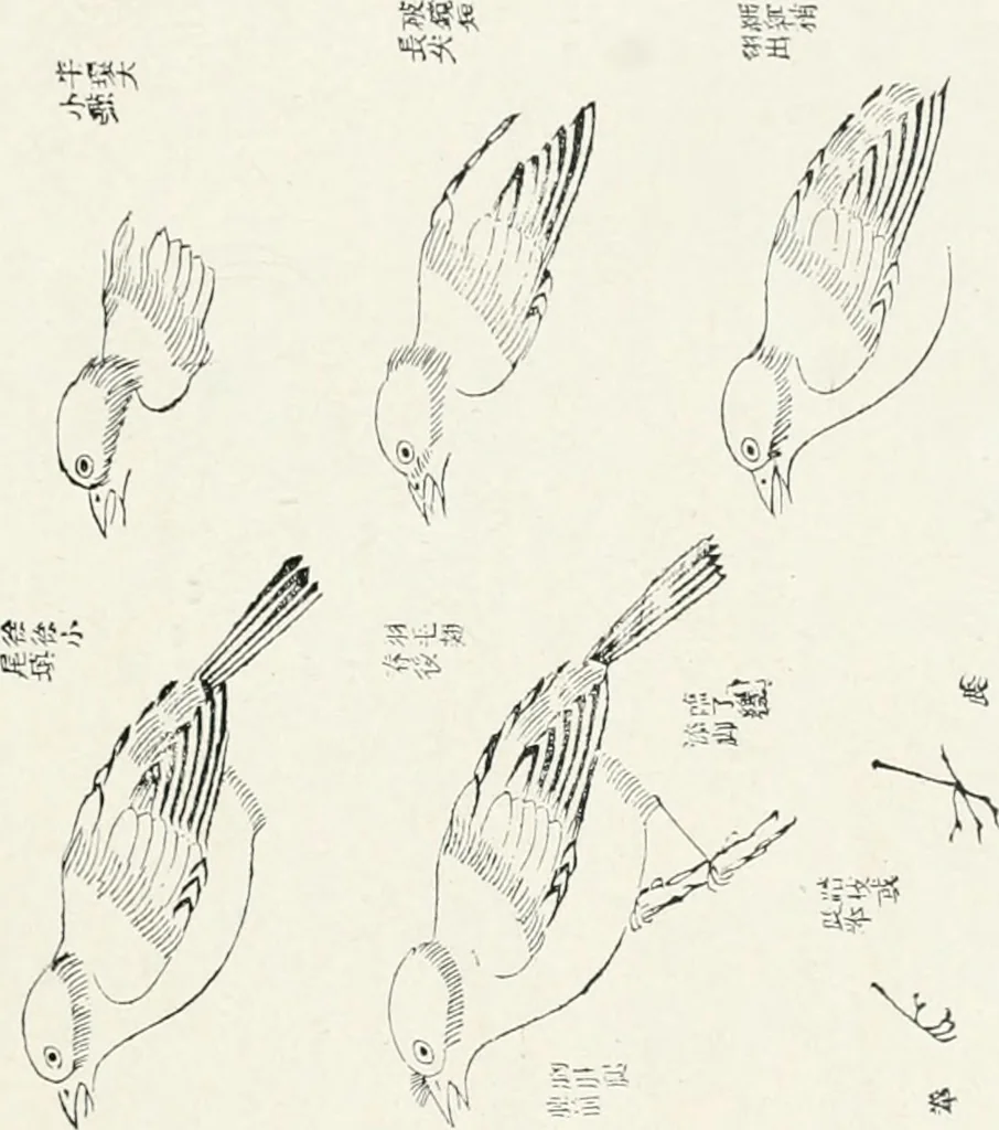 An illustration from Der chinesische farbendruck, 1922, leaf 70