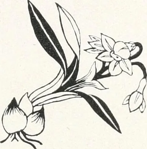 An illustration from Der chinesische Teppich, 1921, leaf 74
