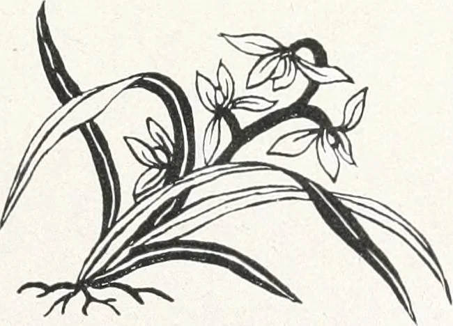 An illustration from Der chinesische Teppich, 1921, leaf 74