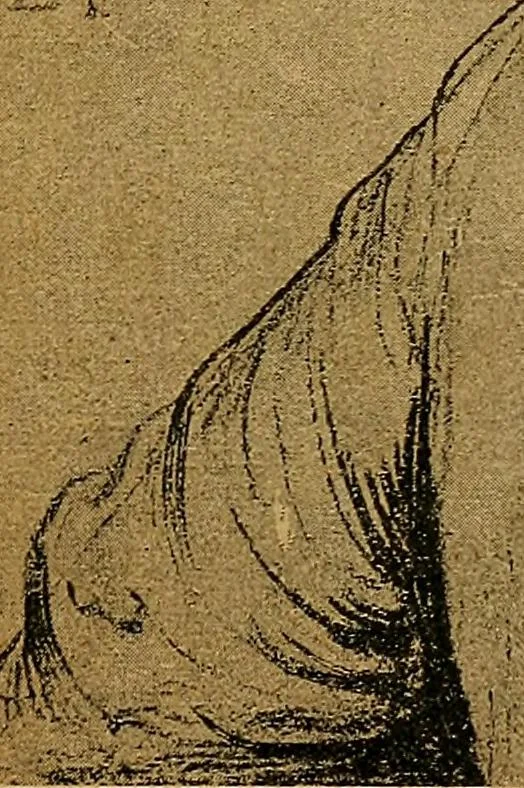 An illustration from Der Cicerone in der Kgl. Gemäldegalerie in Berlin, 1889, leaf 17