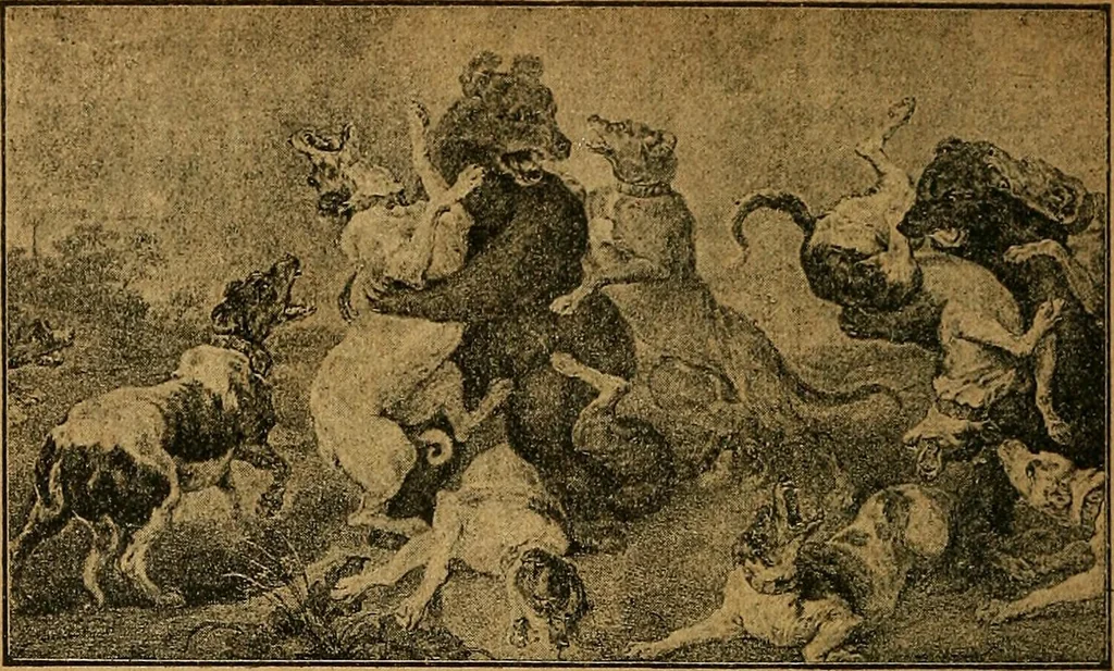 An illustration from Der Cicerone in der Kgl. Gemäldegalerie in Berlin, 1889, leaf 430