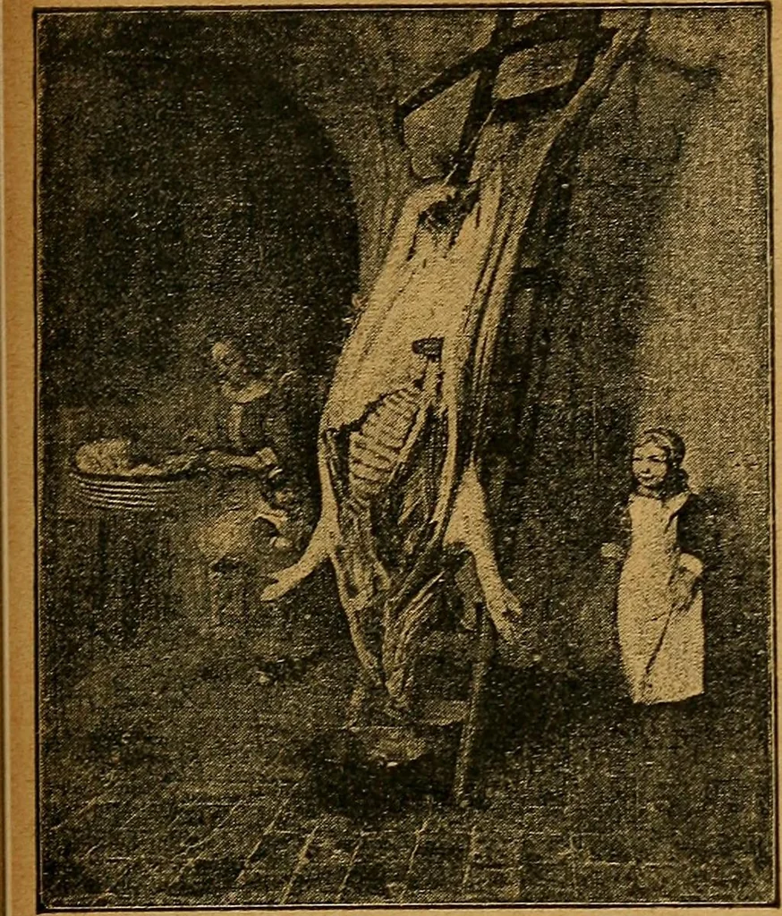 An illustration from Der Cicerone in der Kgl. Gemäldegalerie in Berlin, 1889, leaf 463