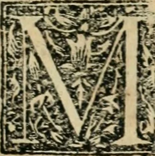 An illustration from De re aedificatoria libri decem, 1541, leaf 276