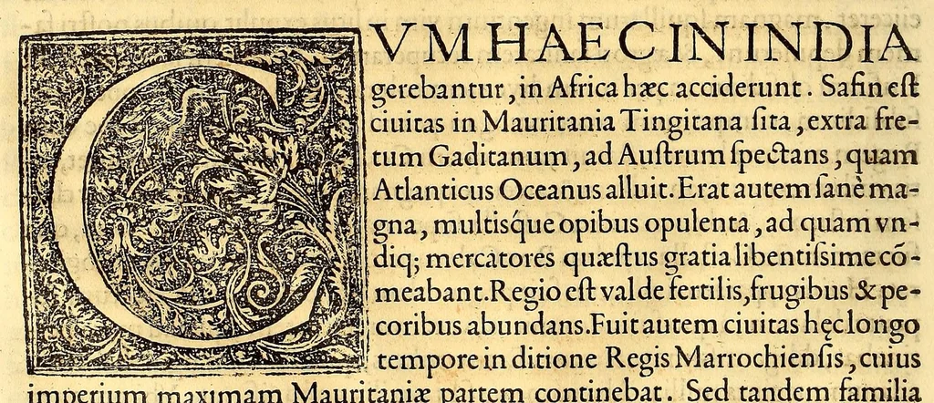 An illustration from De rebus, Emmanuelis regis Lusitaniæ inuictissimi virtute et auspicio gestis libri duodecim., 1571, leaf 186
