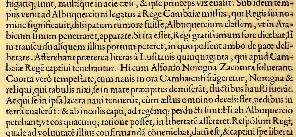 An illustration from De rebus, Emmanuelis regis Lusitaniæ inuictissimi virtute et auspicio gestis libri duodecim., 1571, leaf 272