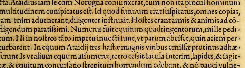 An illustration from De rebus, Emmanuelis regis Lusitaniæ inuictissimi virtute et auspicio gestis libri duodecim., 1571, leaf 281