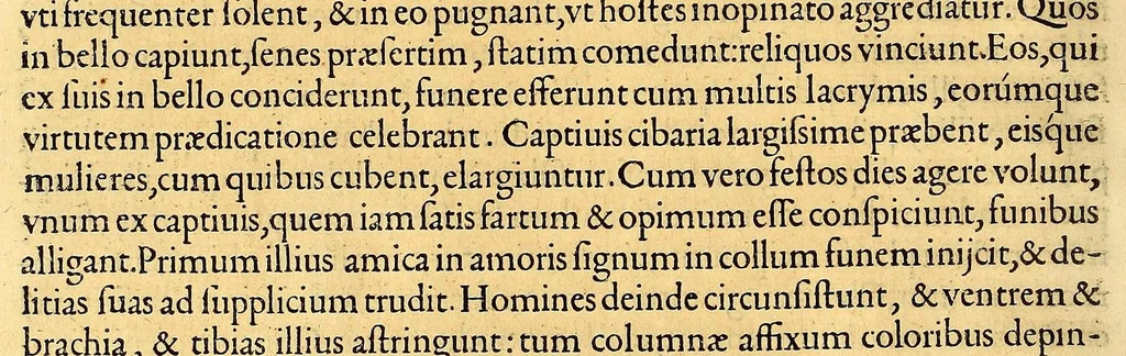 An illustration from De rebus, Emmanuelis regis Lusitaniæ inuictissimi virtute et auspicio gestis libri duodecim., 1571, leaf 72