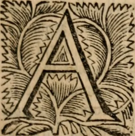 An illustration from De rebus sacris & ecclesiasticis exercitationes historico-criticae. In quibus Cardinalis Baronii Annales, ab anno Christi XXXV, in quo Casaubonus desiit, expenduntur: tum & multa adversus Bellarminum, Lightfootum, Pagium, & alios discutiuntur; plurimique historiae & chronologiae errores emendantur .., 1692, leaf 50