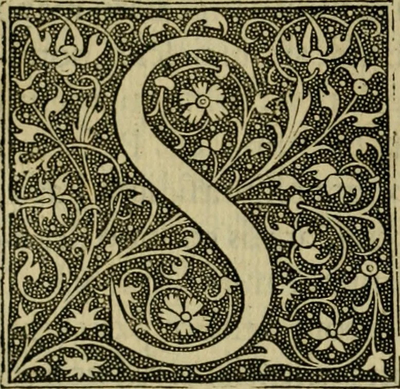 An illustration from De rebus Turcaru[m] ad Franciscum Gallorum Regem Christianiss. libri quinque, 1540, leaf 105