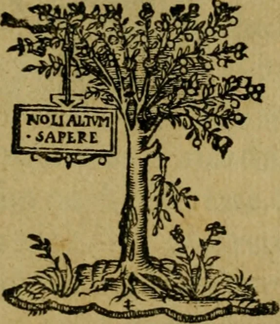 An illustration from De rebus Turcaru[m] ad Franciscum Gallorum Regem Christianiss. libri quinque, 1540, leaf 4