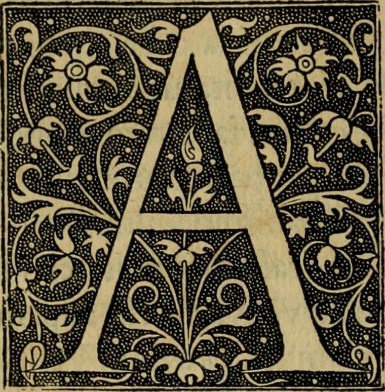 An illustration from De rebus Turcaru[m] ad Franciscum Gallorum Regem Christianiss. libri quinque, 1540, leaf 55