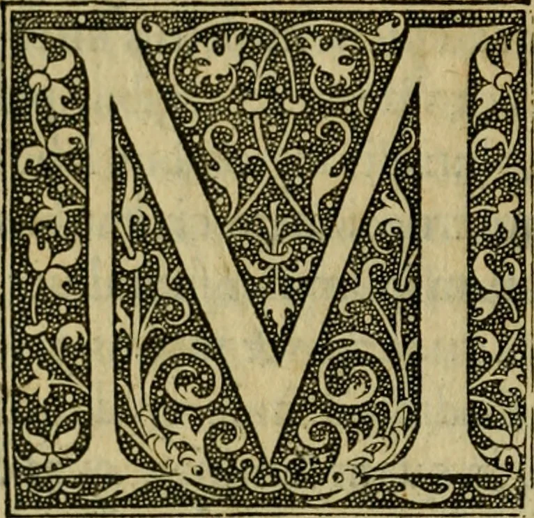 An illustration from De rebus Turcaru[m] ad Franciscum Gallorum Regem Christianiss. libri quinque, 1540, leaf 89
