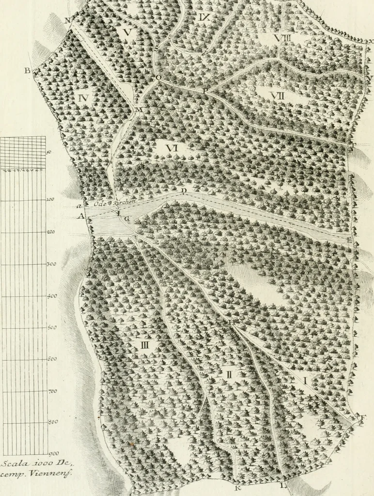 An illustration from De re ichnographica : cujus hodierna praxis exponitur, et propriis exemplis pluribus illustratur : inque varias, quae contingere possunt, ejusdem aberrationes, posito quoque calculo, inquiritur, 1751, leaf 135
