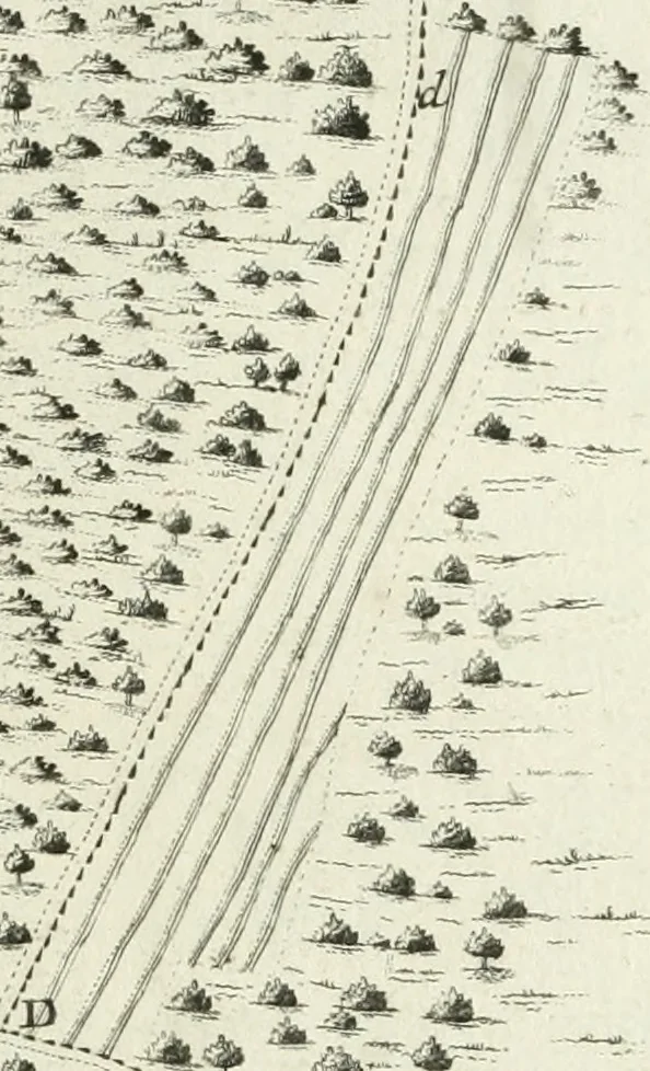 An illustration from De re ichnographica : cujus hodierna praxis exponitur, et propriis exemplis pluribus illustratur : inque varias, quae contingere possunt, ejusdem aberrationes, posito quoque calculo, inquiritur, 1751, leaf 138