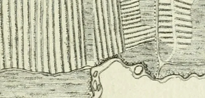 An illustration from De re ichnographica : cujus hodierna praxis exponitur, et propriis exemplis pluribus illustratur : inque varias, quae contingere possunt, ejusdem aberrationes, posito quoque calculo, inquiritur, 1751, leaf 158