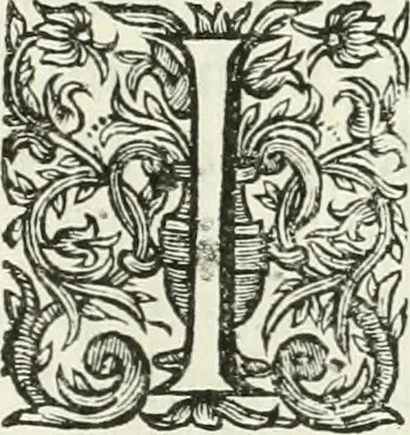 An illustration from De re ichnographica : cujus hodierna praxis exponitur, et propriis exemplis pluribus illustratur : inque varias, quae contingere possunt, ejusdem aberrationes, posito quoque calculo, inquiritur, 1751, leaf 28