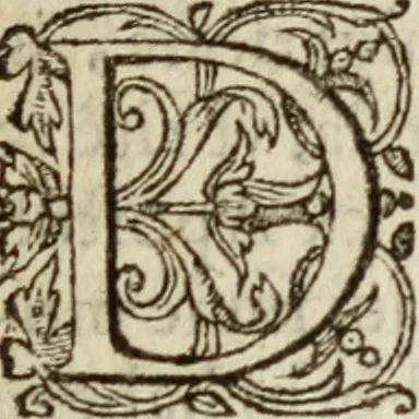 An illustration from De repvdiis et divortiis: in qva plerae qve de causis matrimonialibus (quas vocant) incidentes controuersiae ex verbo Dei deciduntur. Additur Iuris Ciuilis Romanorum, & veterum his de rebus canonum examen, ad eiusdem verbi Dei, & aequitatis normam, 1573, leaf 6