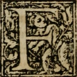 An illustration from De rerum varietate, libri XVII, 1558, leaf 137
