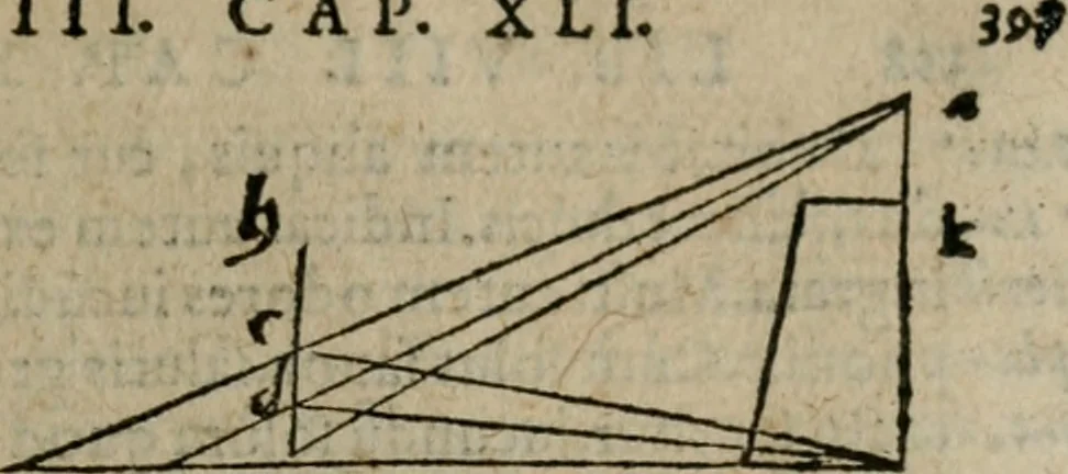 An illustration from De rerum varietate, libri XVII, 1558, leaf 416