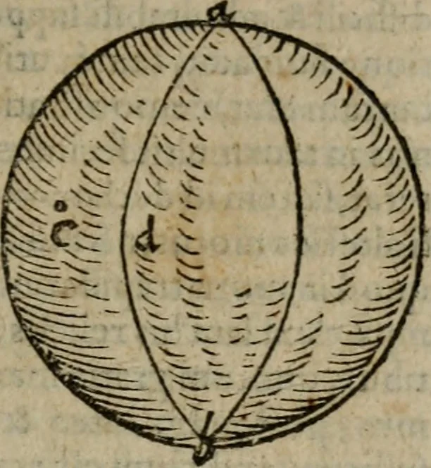An illustration from De rerum varietate, libri XVII, 1558, leaf 490