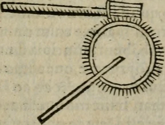 An illustration from De rerum varietate, libri XVII, 1558, leaf 504