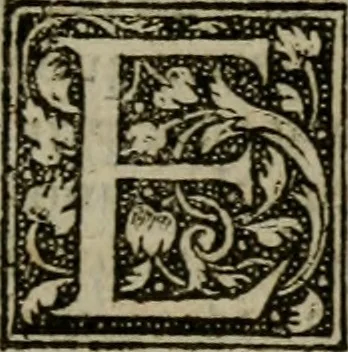 An illustration from De rerum varietate, libri XVII, 1558, leaf 508