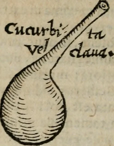 An illustration from De rerum varietate, libri XVII, 1558, leaf 525