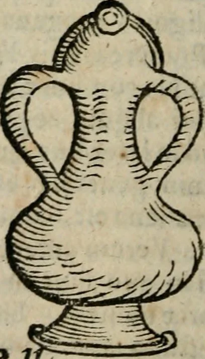 An illustration from De rerum varietate, libri XVII, 1558, leaf 525